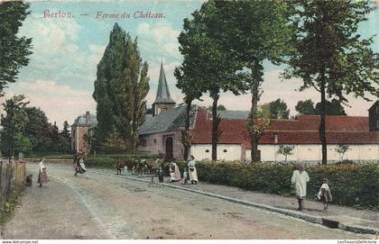 Belgique - Berloz - Ferme du château - Colorisé - Edit. F. Teheux Hovent - Animé - Carte Photo Ancienne22