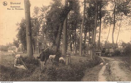 BELGIQUE - Wemmel - Beekstraat - Rue Ruisseau - Attelage Cheval - Charrette - Nels - Animé - Carte postale ancienne