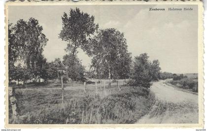 ZONHOVEN.  HOLSTEEN HEIDE.