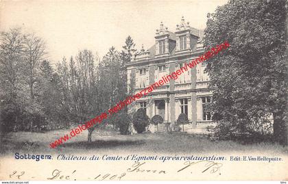 Sottegem - Château du Comte d'Egmont après restauration - Zottegem