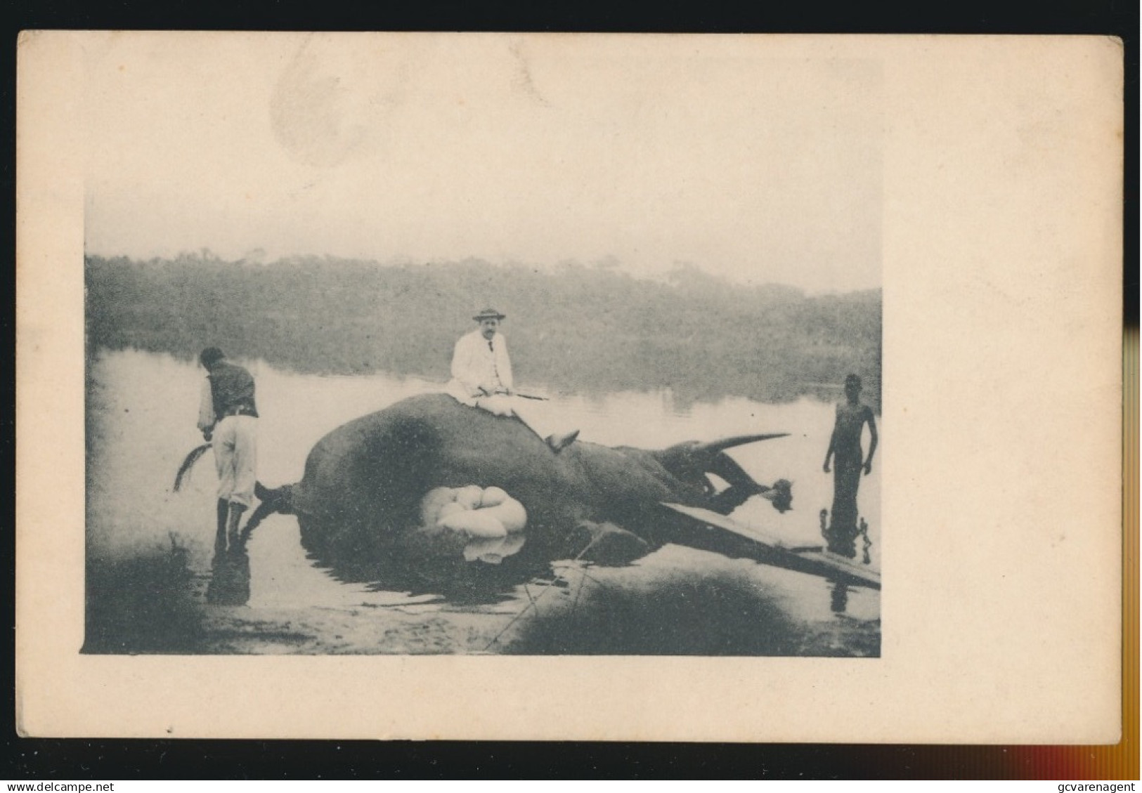 BELGISCH CONGO   BAD VAN OLIFANT