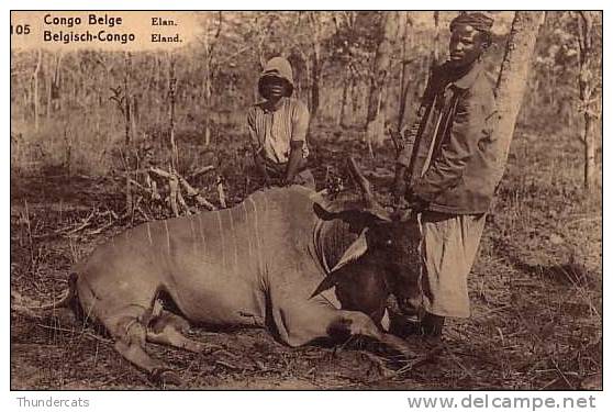 BELGISCH CONGO BELGE ** ELAN - ELAND