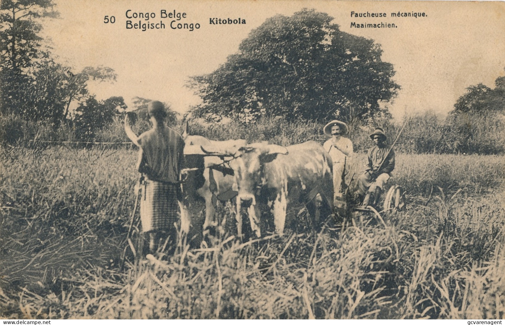 BELGISCH CONGO  KITOBOLA   MAAIMACHIEN         ZIE AFBEELDINGEN