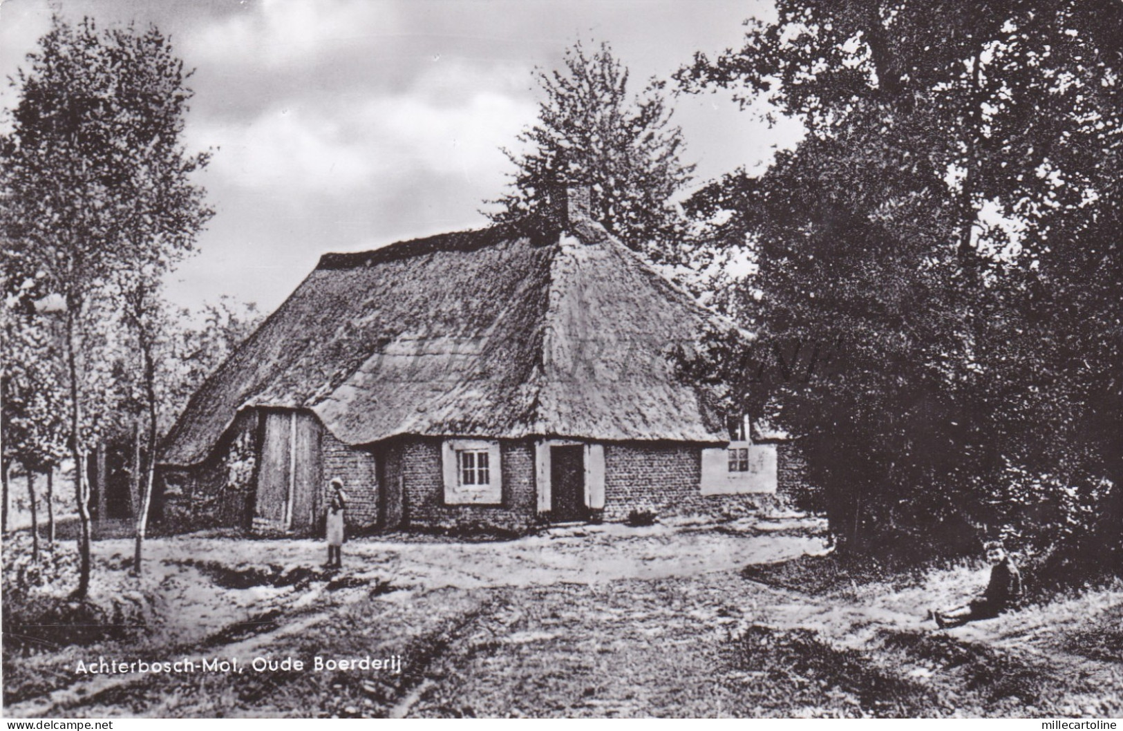 BELGIUM - Mol, Achterbosch-Mol, Oude Boerderij, Photo Postcard