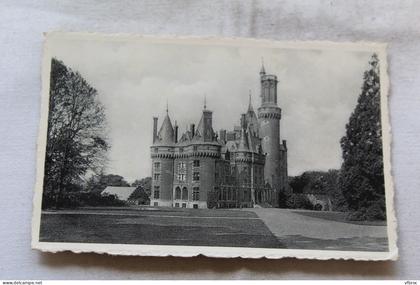 Cpsm, Antoing, château de S A le prince de Ligne, Belgique