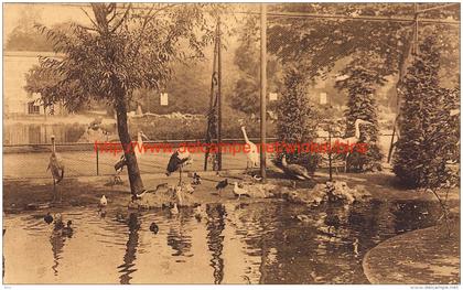 Dierentuin Antwerpen