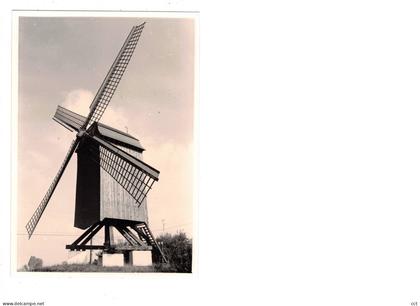 Anzegem    FOTO  van de Landergemmolen     1980   MOLEN  MOULIN