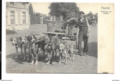 Asse - Attelage de chiens.