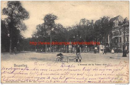 L'Avenue de la Toisou d'or