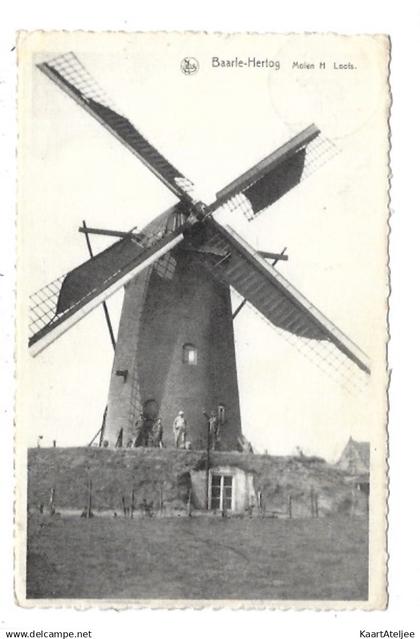 Baarle-Hertog - Molen H. Loots - Moulin.