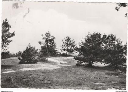 Balen - Wandelpaden Hulsen