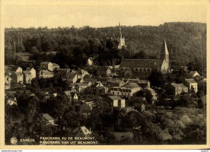 CPA Esneux Panorama vu de Beaumont