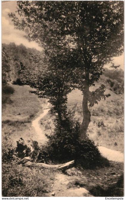 CPA   Carte Postale    Belgique  Auby-sur-Semois Sentier de la Grotte St Remacle VM108717