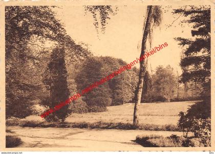 Lovenjoul - Salve Mater - Dans le parc - Lovenjoel Bierbeek