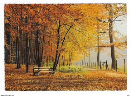 CPSM UN BONJOUR DE BIEVRE, BELGIQUE