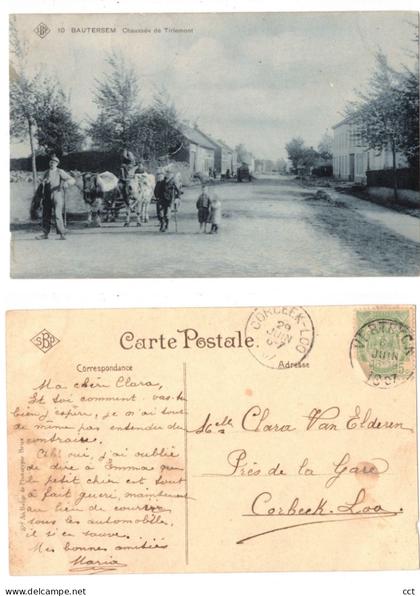 Boutersem    Chaussée de Tirlemont  Edit SBP n° 10   ATTELAGE BOEUFS