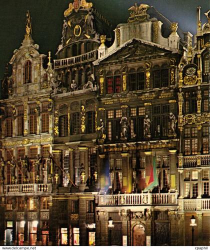 CPM Bruxelles Grand'Place la nuit