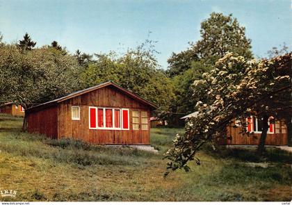 CPM - L'HIRONDELLE - OTEPPE - Chalet.
