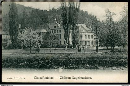 Carte Postale - Belgique - Chaudfontaine - Château Nagelmaekers (CP28050)