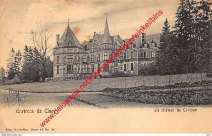 Le Château de Conjoux - Ciney