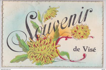 Souvenir de Visé Belgique Liège Cachet Postal Dalhem