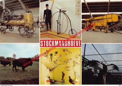 Stockmanshoeve - Damme