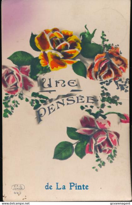 DE PINTE     UNE PENSEE DE LA PINTE