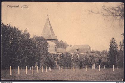 +++ CPA - DIEPENBEEK - Château  //