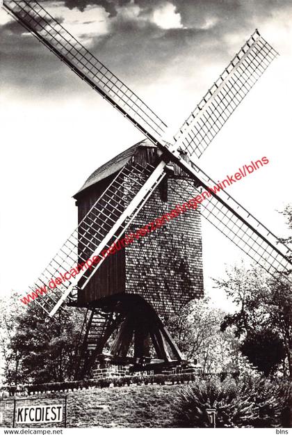 Molen - Diest