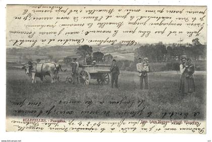 Ellezelles   Panorama    (attelage)