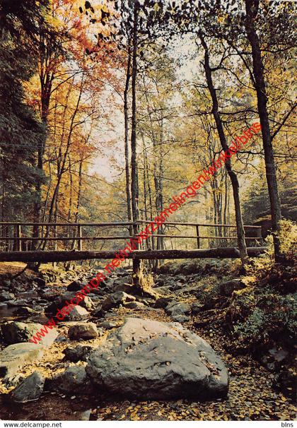 Vallée de la Hoegne - Erezée