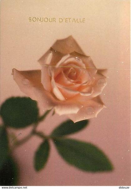 Belgique - Etalle sur Semois - Bonjour d'Etalle - Fleurs - Carte Neuve - CPM - Voir Scans Recto-Verso