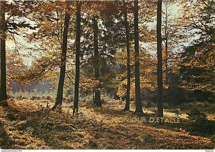 Belgique - Etalle sur Semois - Bonjour d'Etalle - Rivières et Forêts des Ardennes - Carte Neuve - CPM - Voir Scans Recto