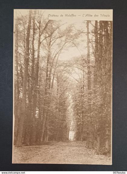 CHÂTEAU DE WALEFFES / L'ALLÉE DES TILLEULS