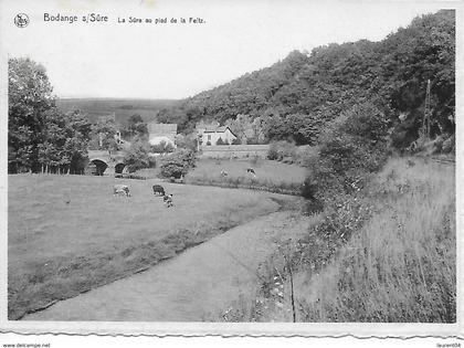 FAUVILLIERS. BODANGE. LA SURE AU PIED DE LA FELTZ.