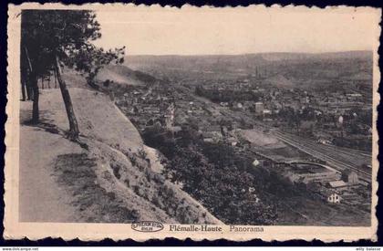 +++ CPA - FLEMALLE HAUTE - Panorama   //