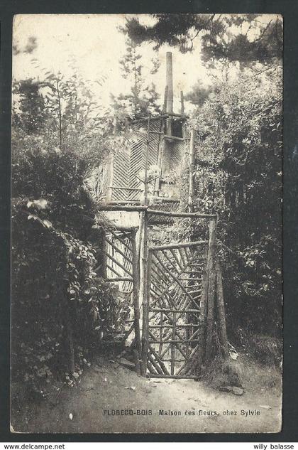 +++ CPA - FLOBECQ - BOIS - VLOESBERG - Maison des Fleurs , chez Sylvie //