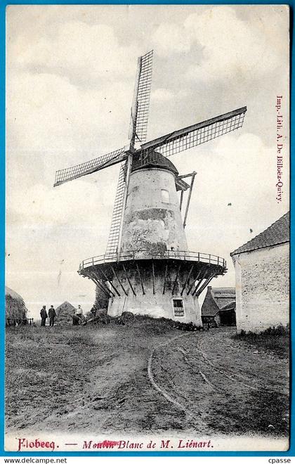 CPA FLOBECQ VLOESBERG - MOULIN BLANC de M. LIENART ** Belgique Belgie Hainaut Molen