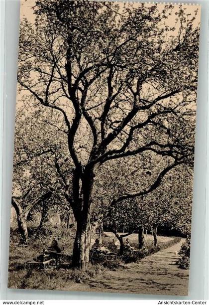 39760956 - Florenville