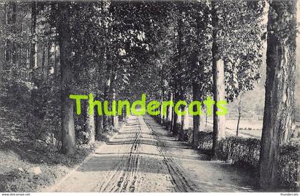 CPA VORST FOREST PARC DE MME DUDEN