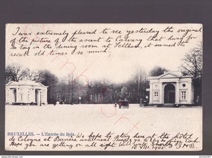 Bruxelles - L'Entrée du Bois - postkaart