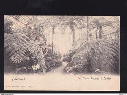 Bruxelles - Les Serres Royales à Laeken - postkaart