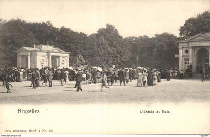 CPA Belgique Bruxelles L entree du bois