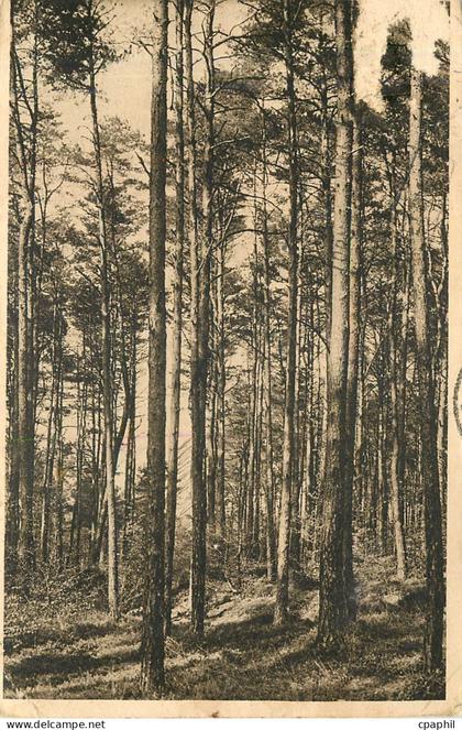 CPA FORÊT d'ANDAINE