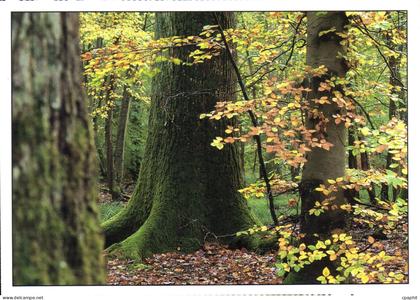 CPM Les Semaines Regionales de l'Environnement