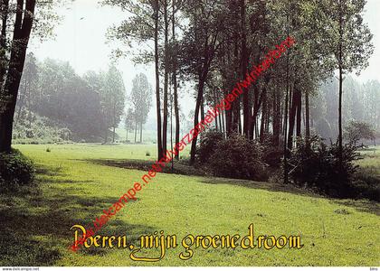 St. Martens Voeren - Voerdal - Voeren