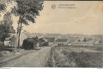 FRASNES LEZ ANVAING. OEUDEGHIEN.  HAMEAU DUQUESNE.