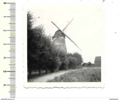 Tollembeek 1947 - Foto Molen - Moulin.