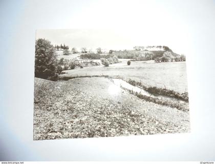 GEDINNE Un Joli Coin PK CPA Province de Namur Belgique Carte Postale Post Kaart Postcard