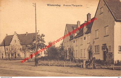 Avenue Marguerite - Winterslag Genk